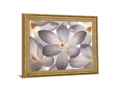 Whispering Blossom - 28" x 34" Framed Wall Art
