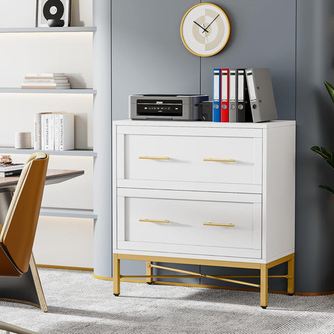 2 Drawer Lateral File Cabinet With Anti Tilt Safety, Filing Storage For Letter / Legal / A4 Files - White