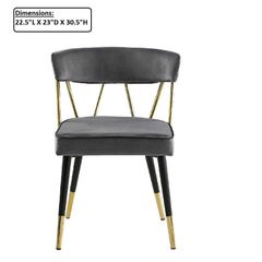 Glam Dining Chair (Set of 2)